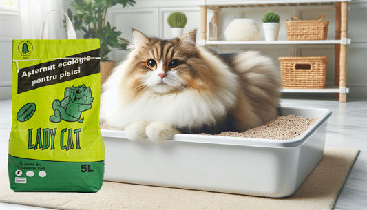 LADY CAT,Asternut Ecologic pentru Pisici 5L Pin