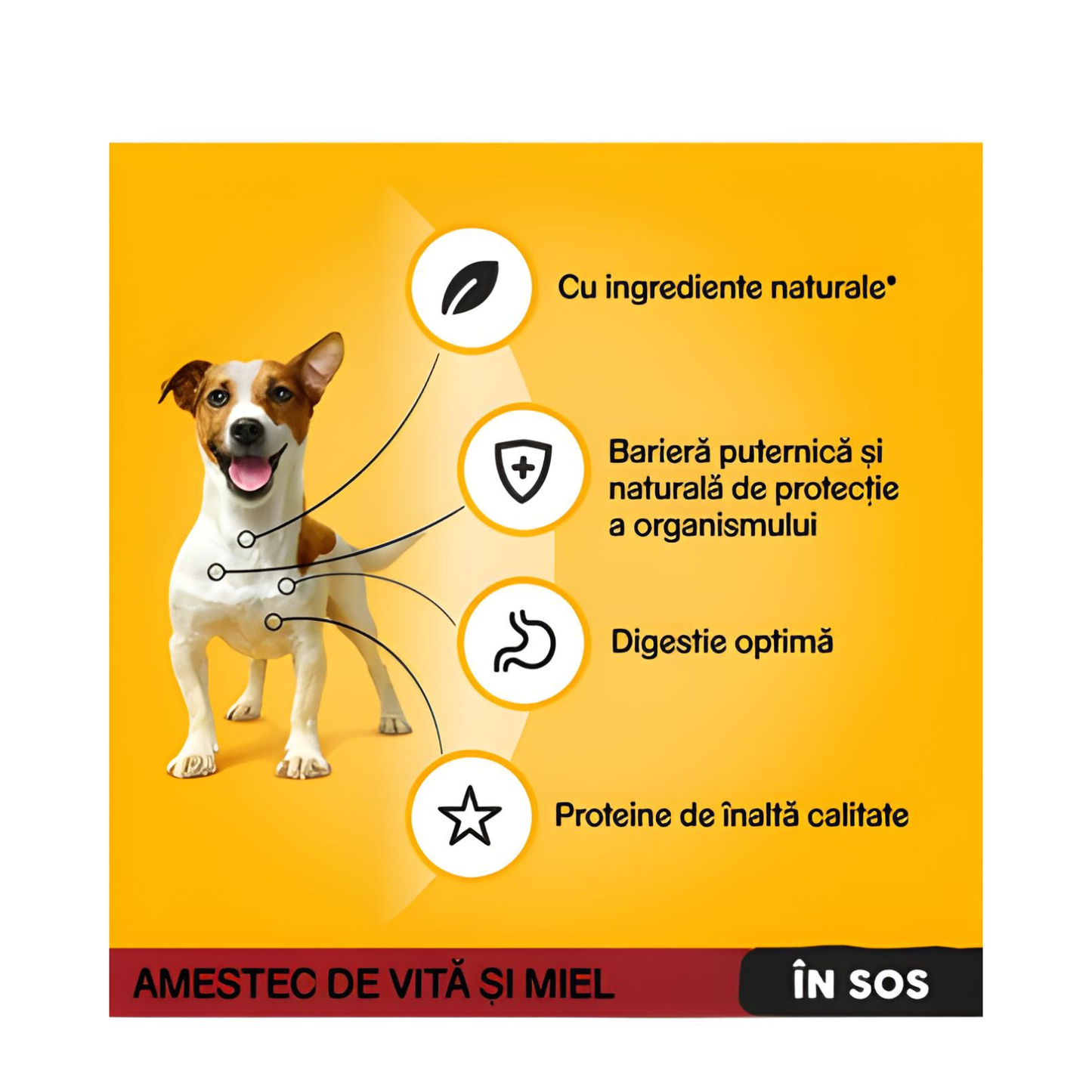 Hrana umeda pentru caini Pedigree Adult, Vita & Miel, 100g