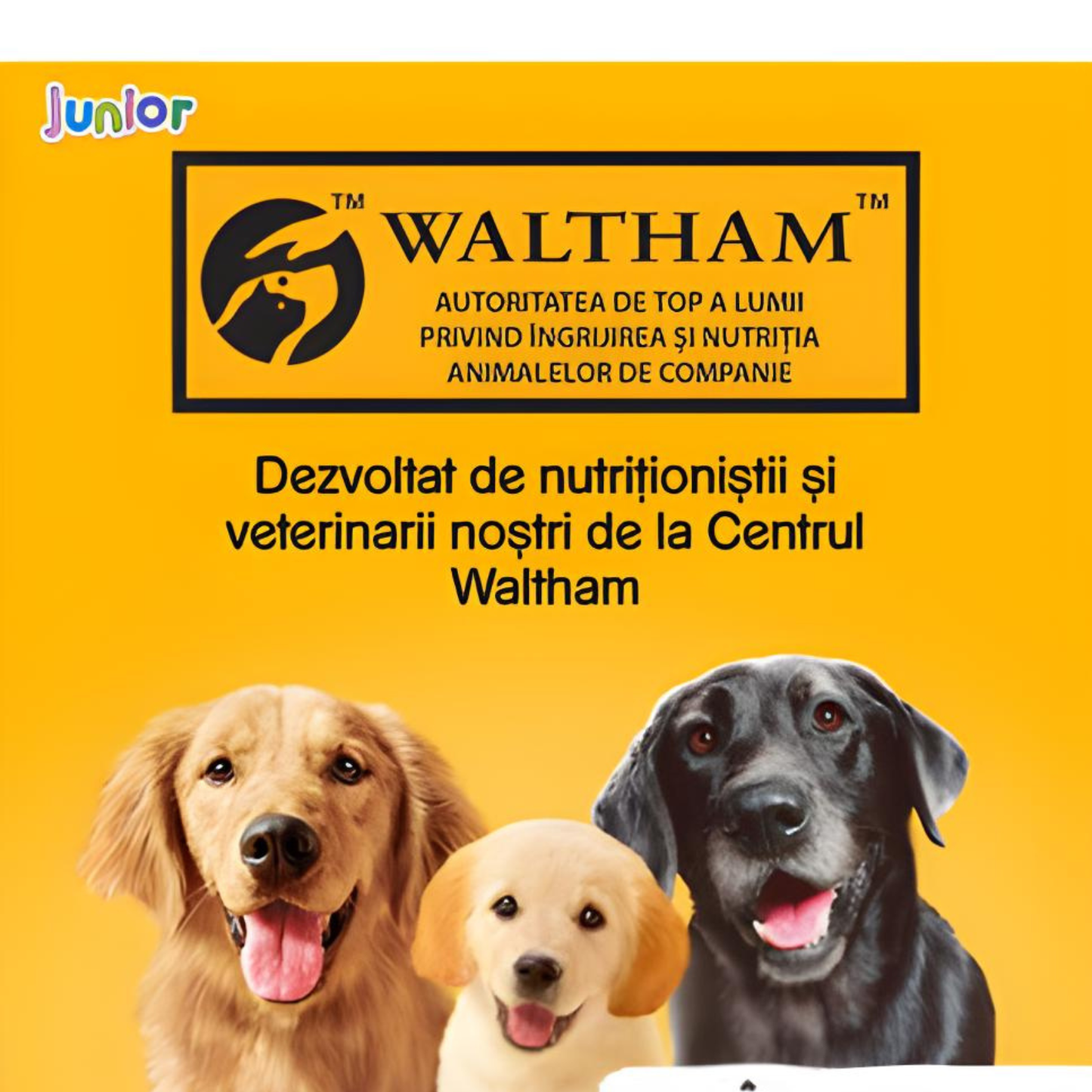 Hrana umeda pentru caini Pedigree Junior, Junior, Conserva 400g